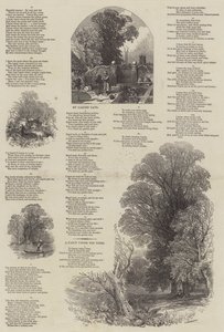 Mei Lyrics door Myles Birket Foster